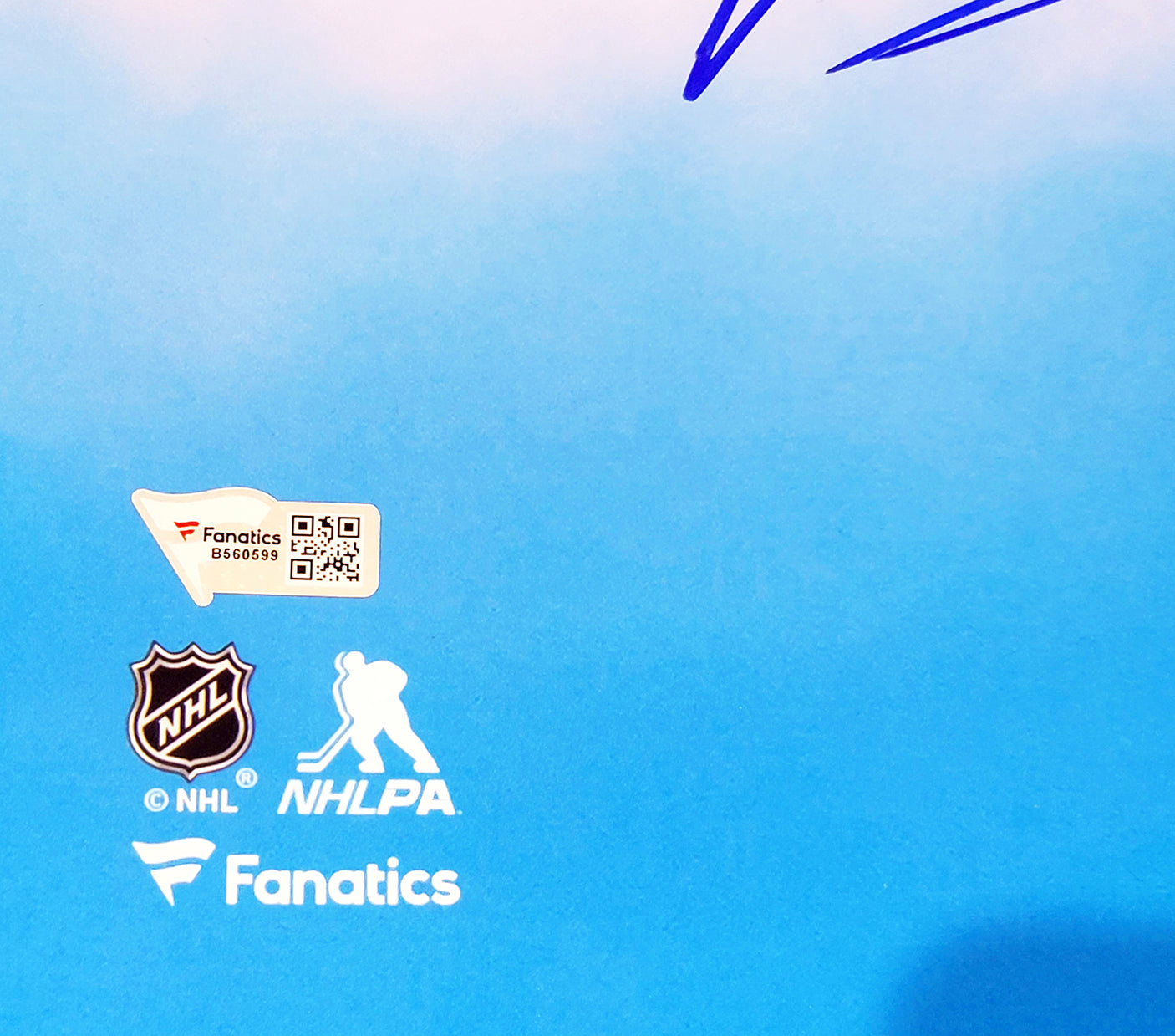 Philipp Grubauer Autographed 16x20 Photo Seattle Kraken Fanatics Holo Stock #211737