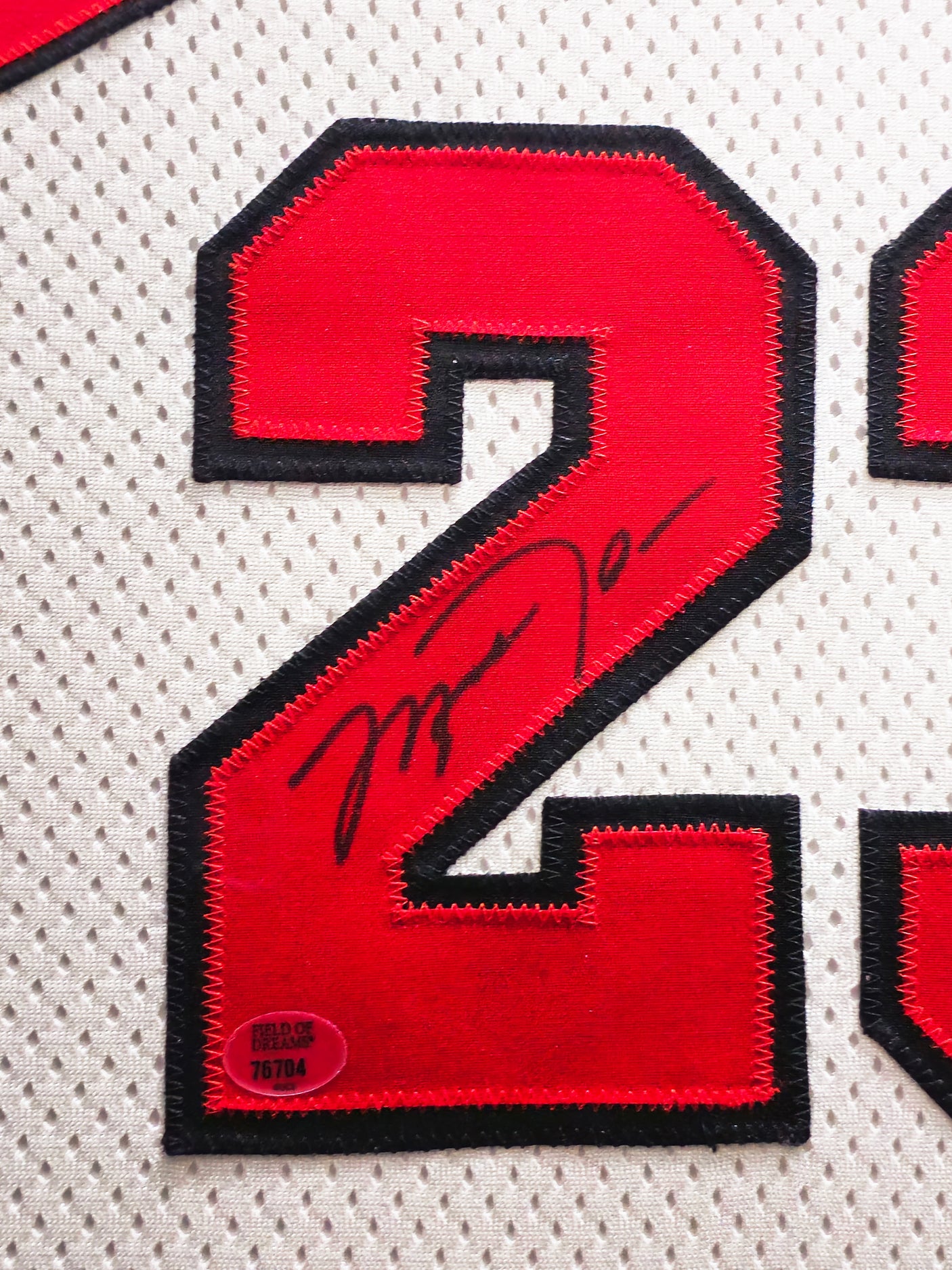 Chicago Bulls Michael Jordan Autographed Framed White Nike Authentic 1998-99 Retirement Season Jersey Beckett BAS & UDA Holo #BAF78946