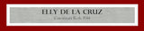 Cincinnati Reds Elly De La Cruz Autographed Framed Red Jersey Beckett BAS QR Stock #239066