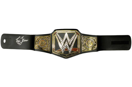 Ric Flair Autographed WWE Replica Belt JSA Stock #228774