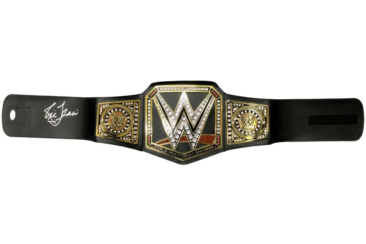 Ric Flair Autographed WWE Replica Belt JSA Stock #228774