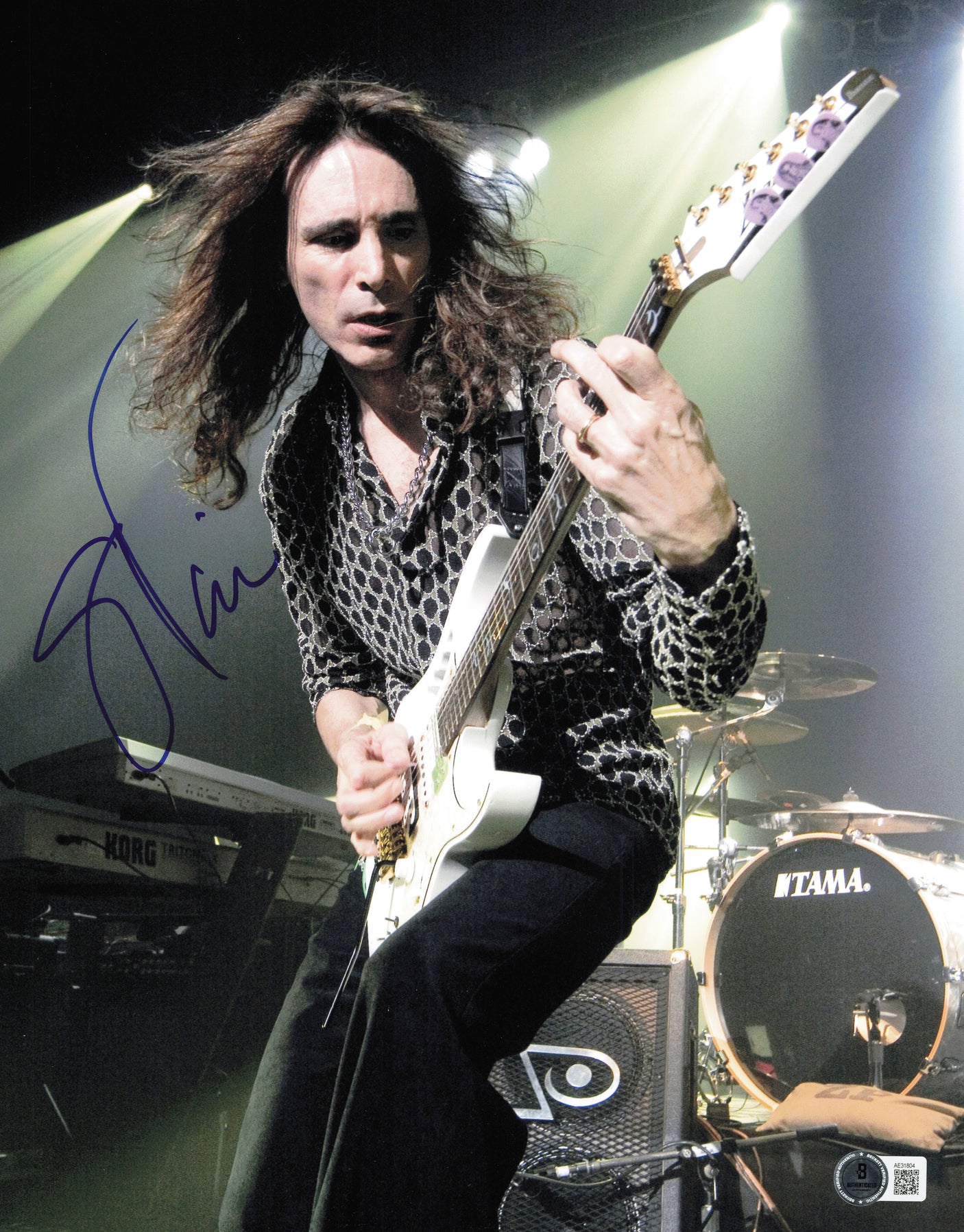 Steve Vai Autographed 11x14 Photo Guitarist Beckett BAS QR #AE31804
