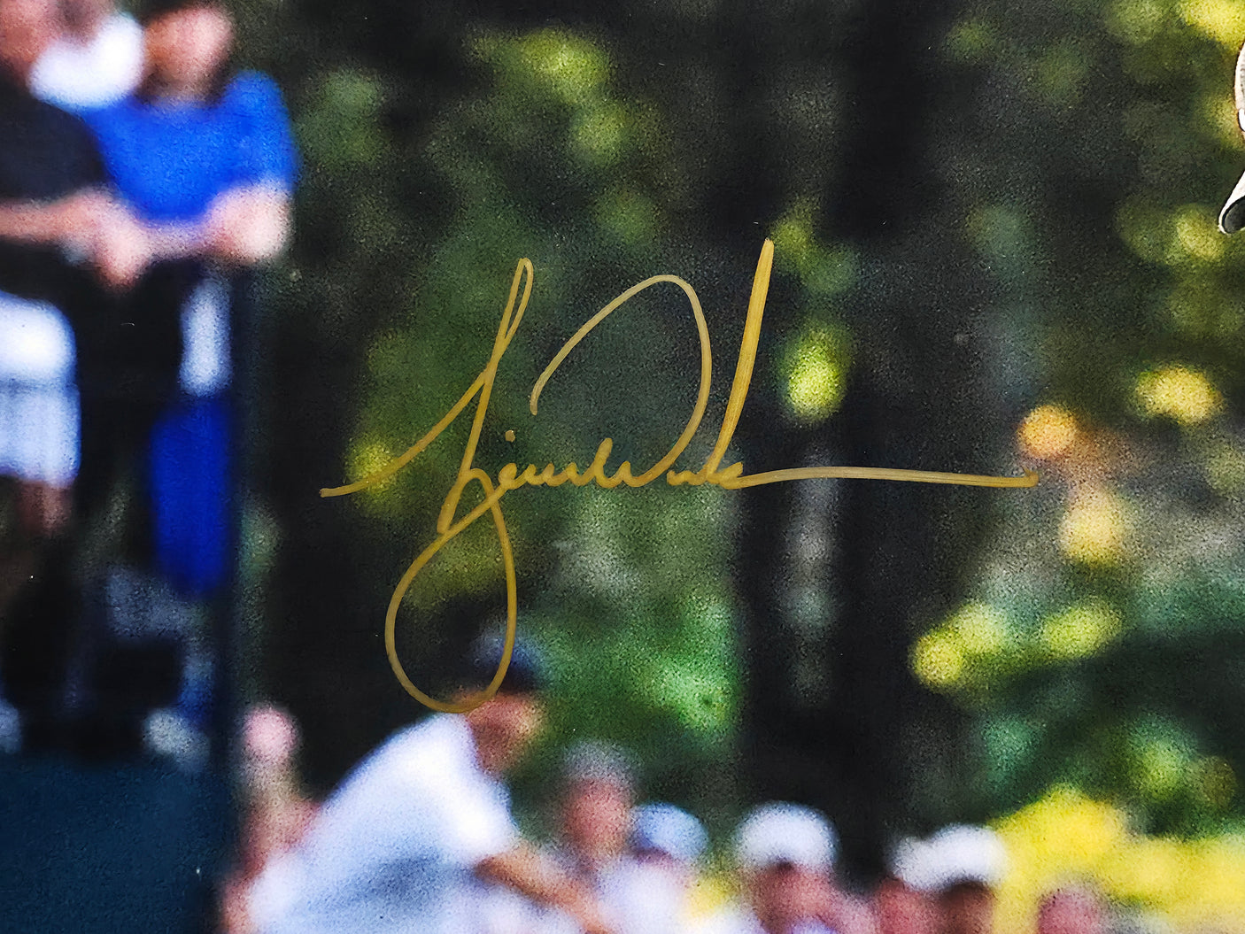Tiger Woods Autographed Framed 20x24 Photo 2000 PGA Championship UDA Holo #BAM205202