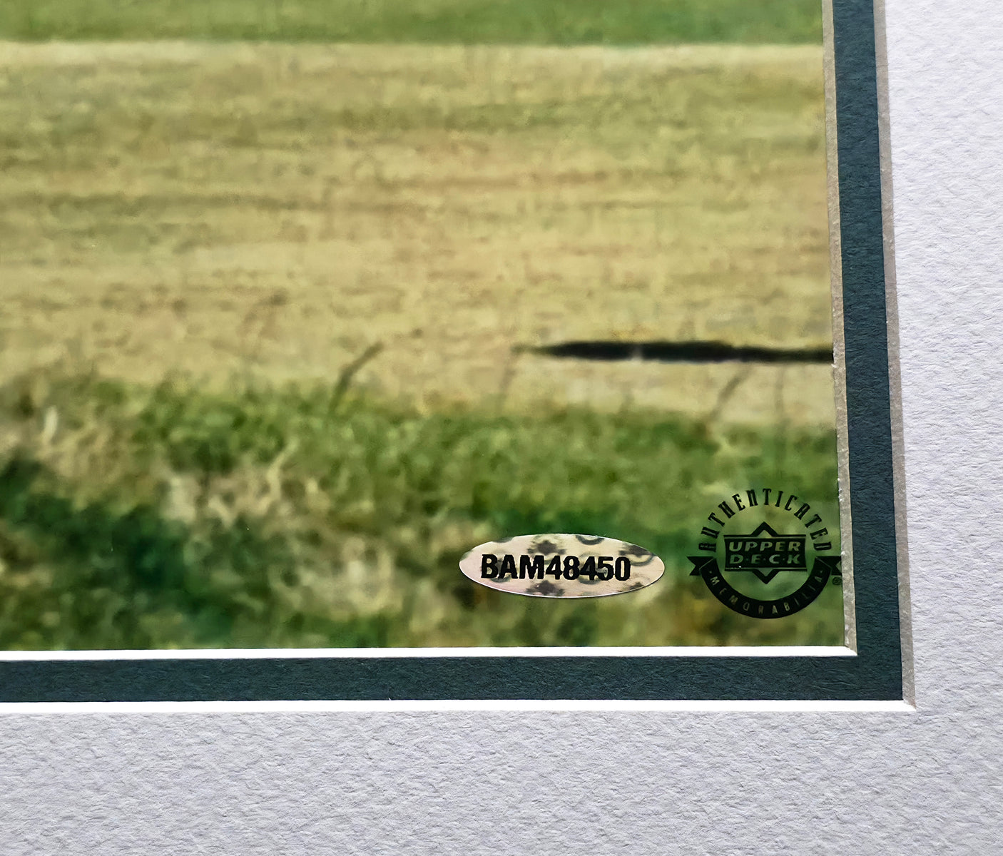 Tiger Woods Autographed Framed 20x24 Photo 2000 British Open UDA Holo #BAM48450