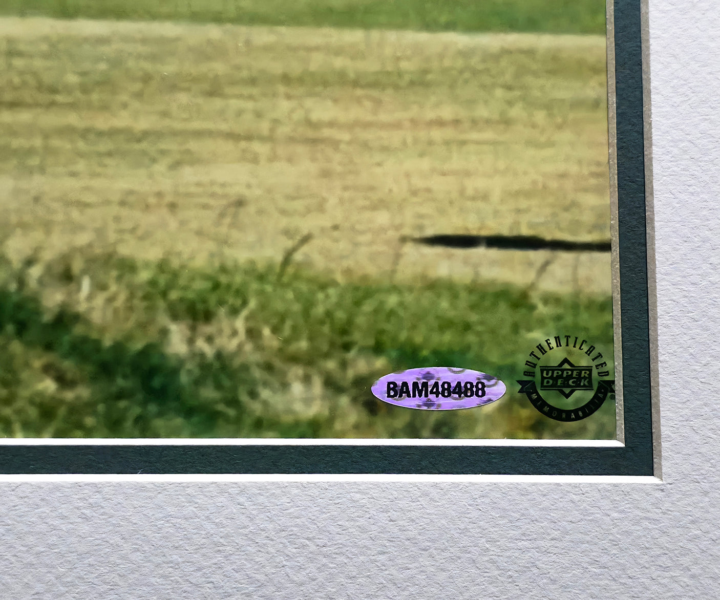 Tiger Woods Autographed Framed 20x24 Photo 2000 British Open UDA Holo #BAM48488