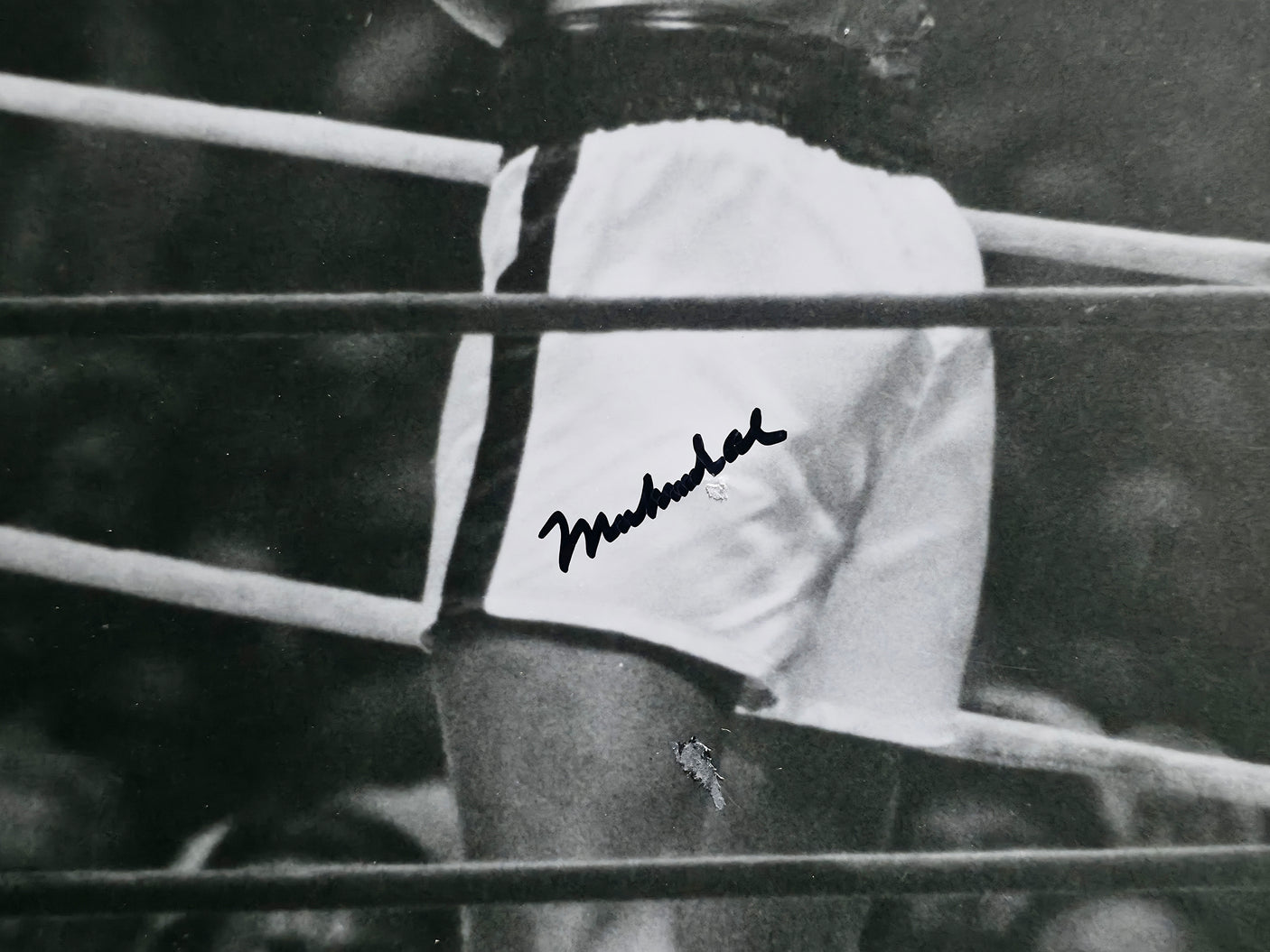 Muhammad Ali & Joe Frazier Autographed Framed 16x20 Photo JSA #X98149