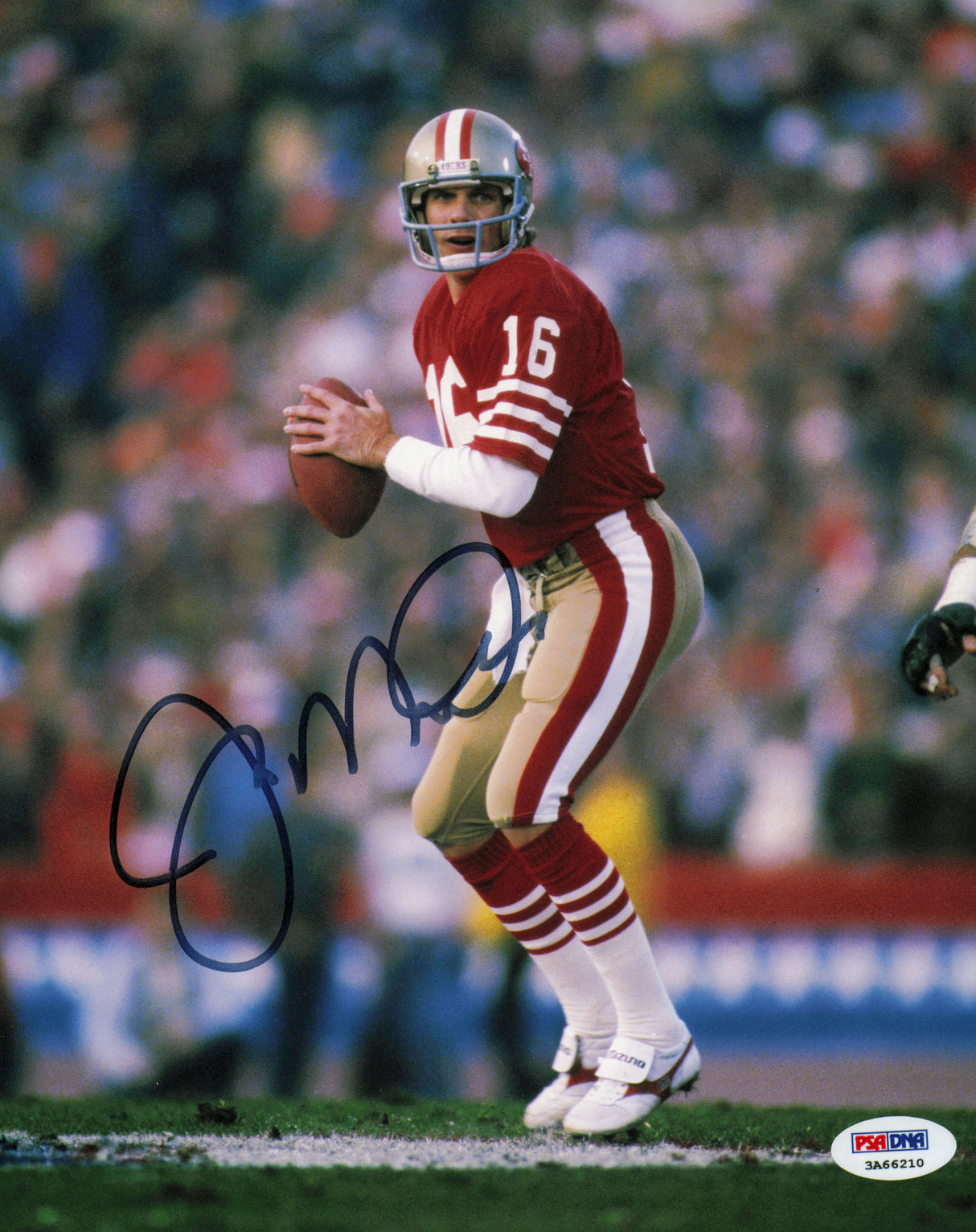 Joe Montana Autographed 8x10 Photo San Francisco 49ers PSA/DNA #3A66210