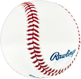 Nolan Ryan Autographed Official MLB Baseball Texas Rangers "Don't Mess With Texas!" NR Holo SKU #243157