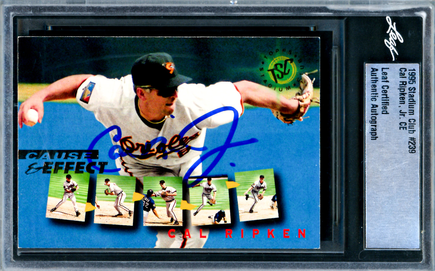 Cal Ripken Jr. Autographed 1995 Stadium Club Card #239 Baltimore Orioles Leaf SKU #243516