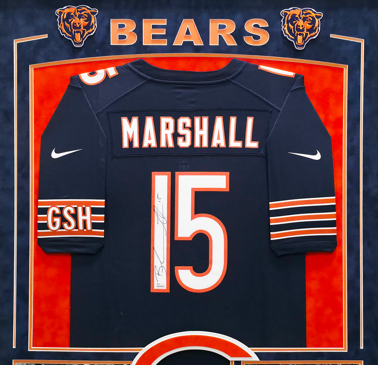 Chicago Bears Brandon Marshall Autographed Framed Blue Jersey Collage JSA #W623910