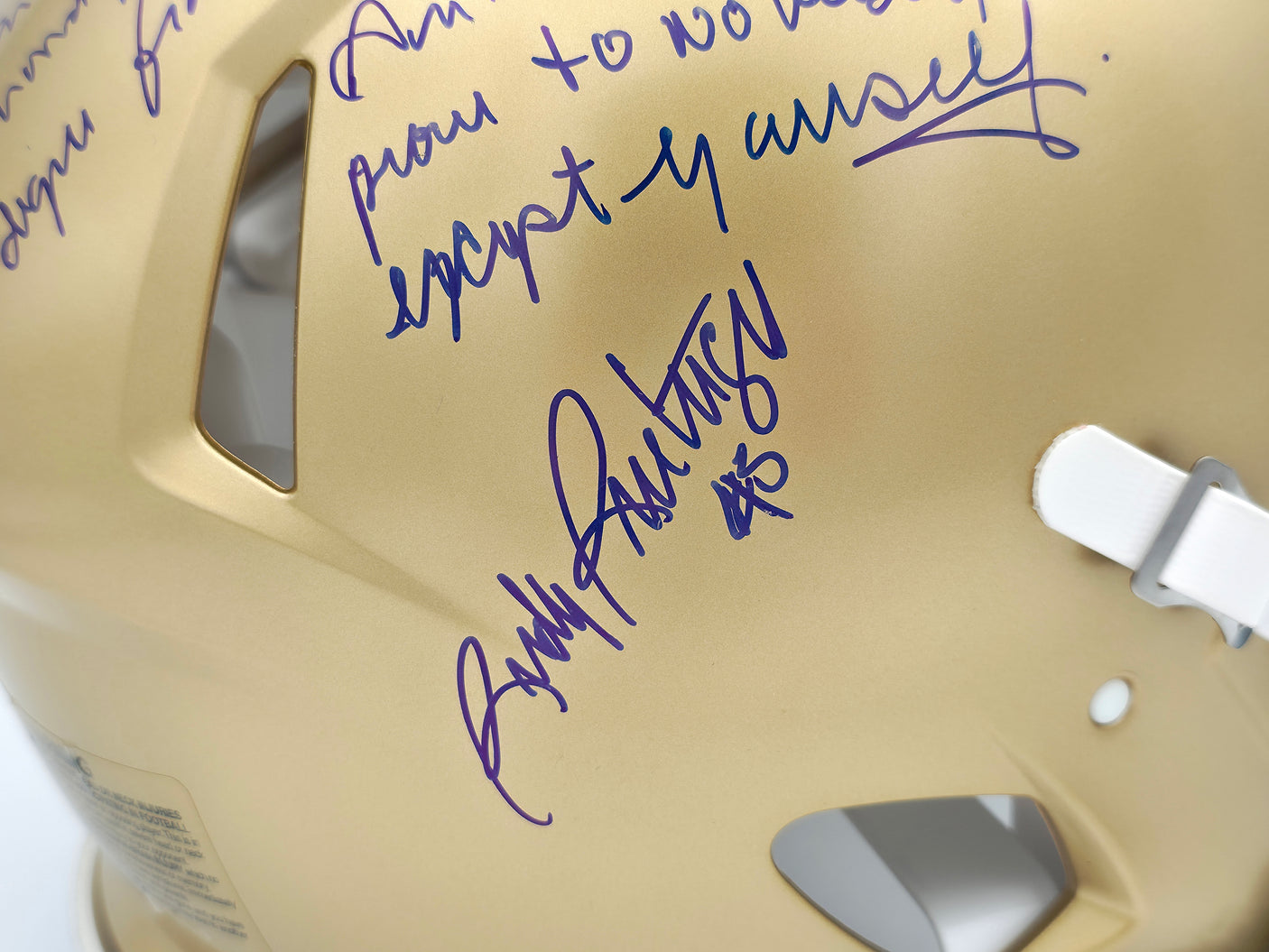 Rudy Ruettiger Autographed Notre Dame Fighting Irish Gold Full Size Authentic Speed Helmet Full Movie Speech Beckett BAS Witness Stock #243660