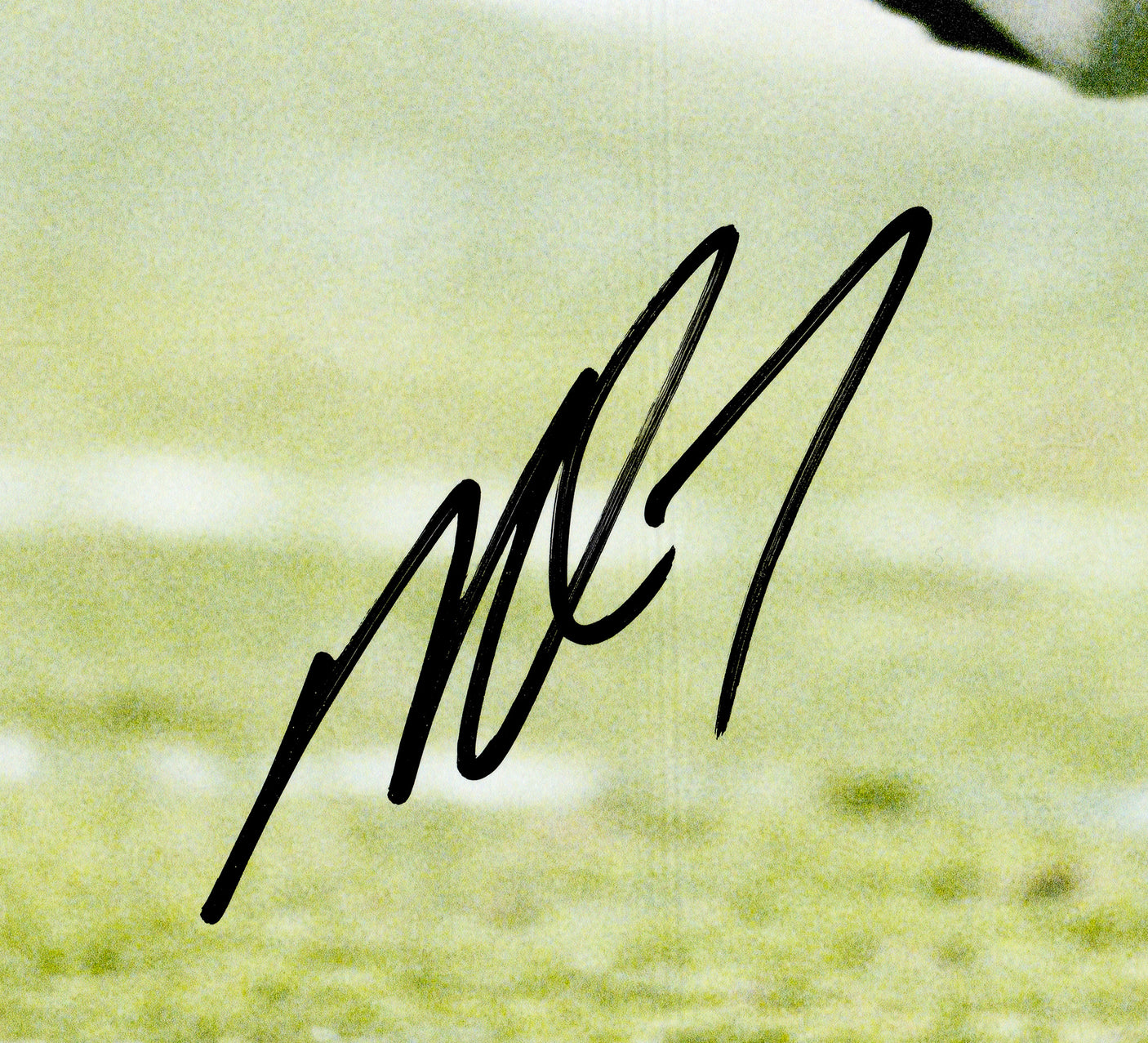 Michael Vick Autographed 16x20 Photo Atlanta Falcons Beckett BAS Witness Stock #243625