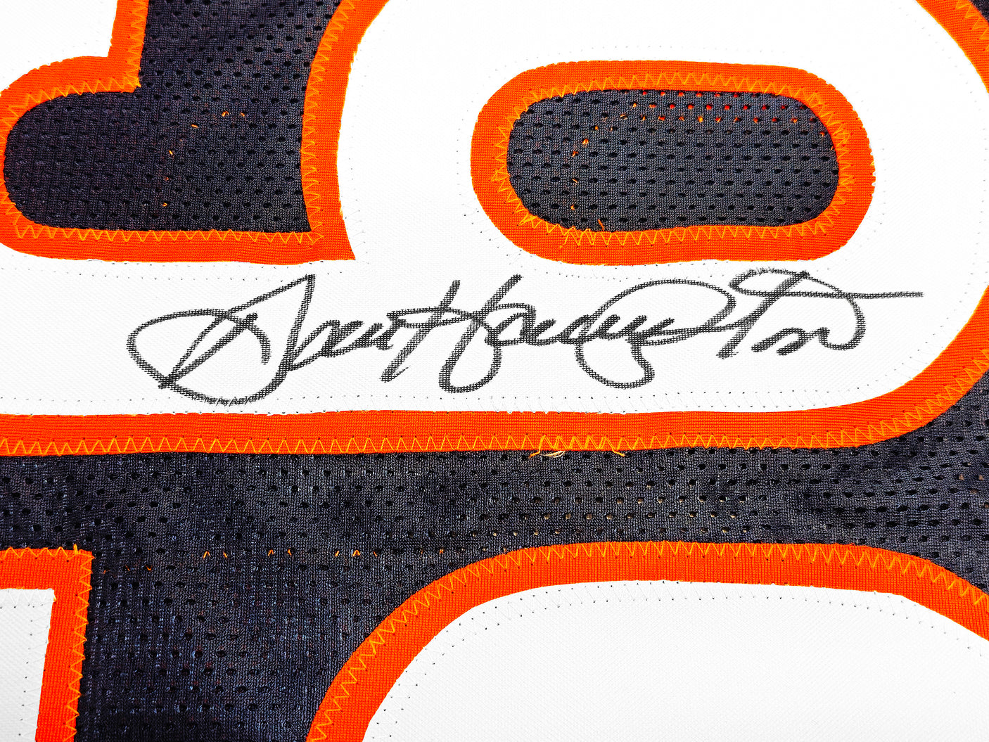 Chicago Bears Dan Hampton Autographed Blue Jersey "HOF 2002" Beckett BAS Witness Stock #231046