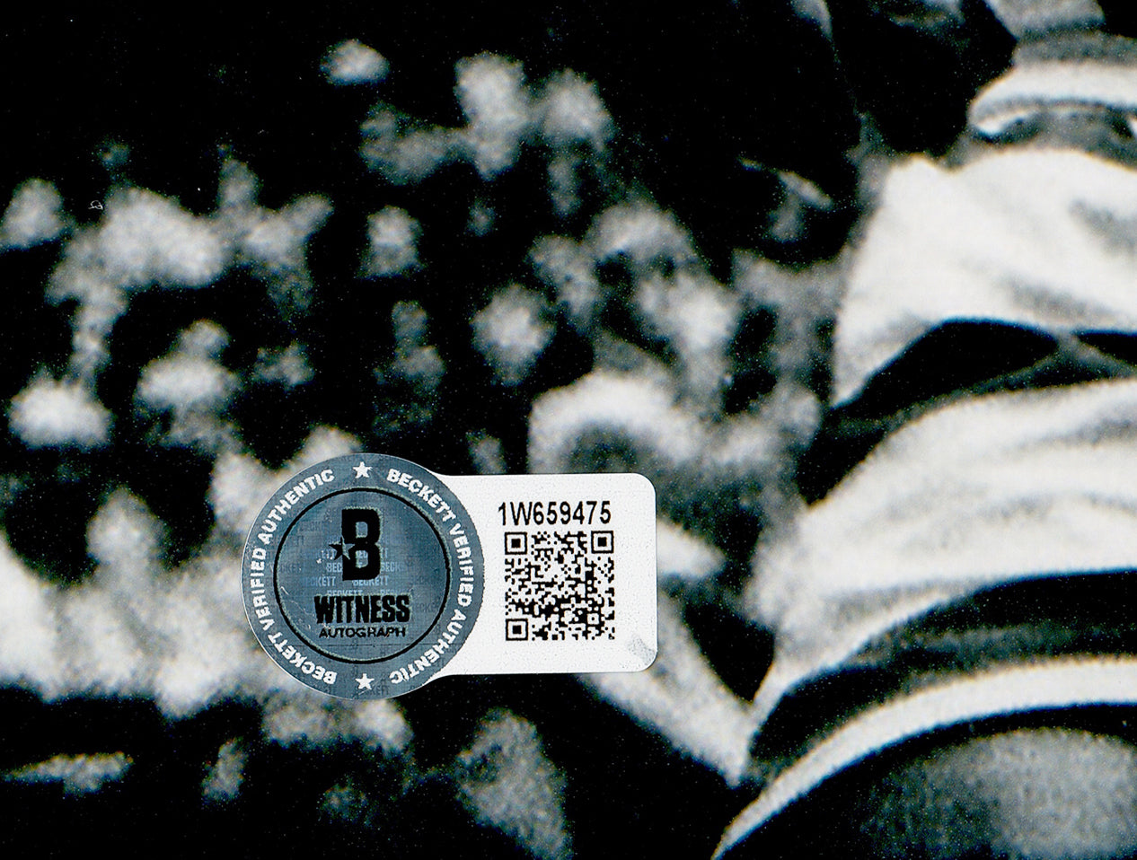 Julius "Dr. J" Erving Autographed 16x20 Photo Philadelphia 76ers Beckett BAS Witness Stock #232706