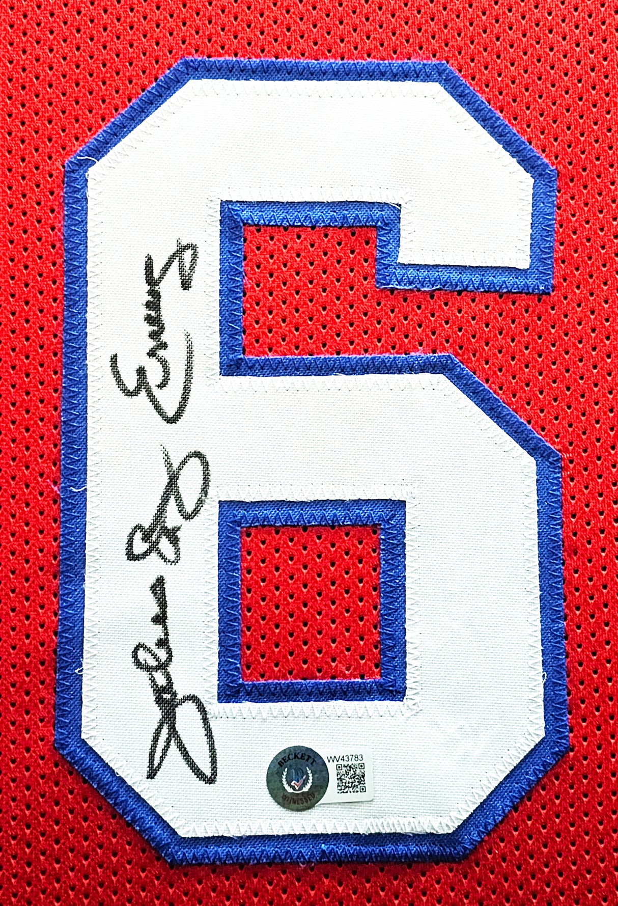 Philadelphia 76ers Julius "Dr. J" Erving Autographed Framed Red Jersey PSA/DNA Stock #215862