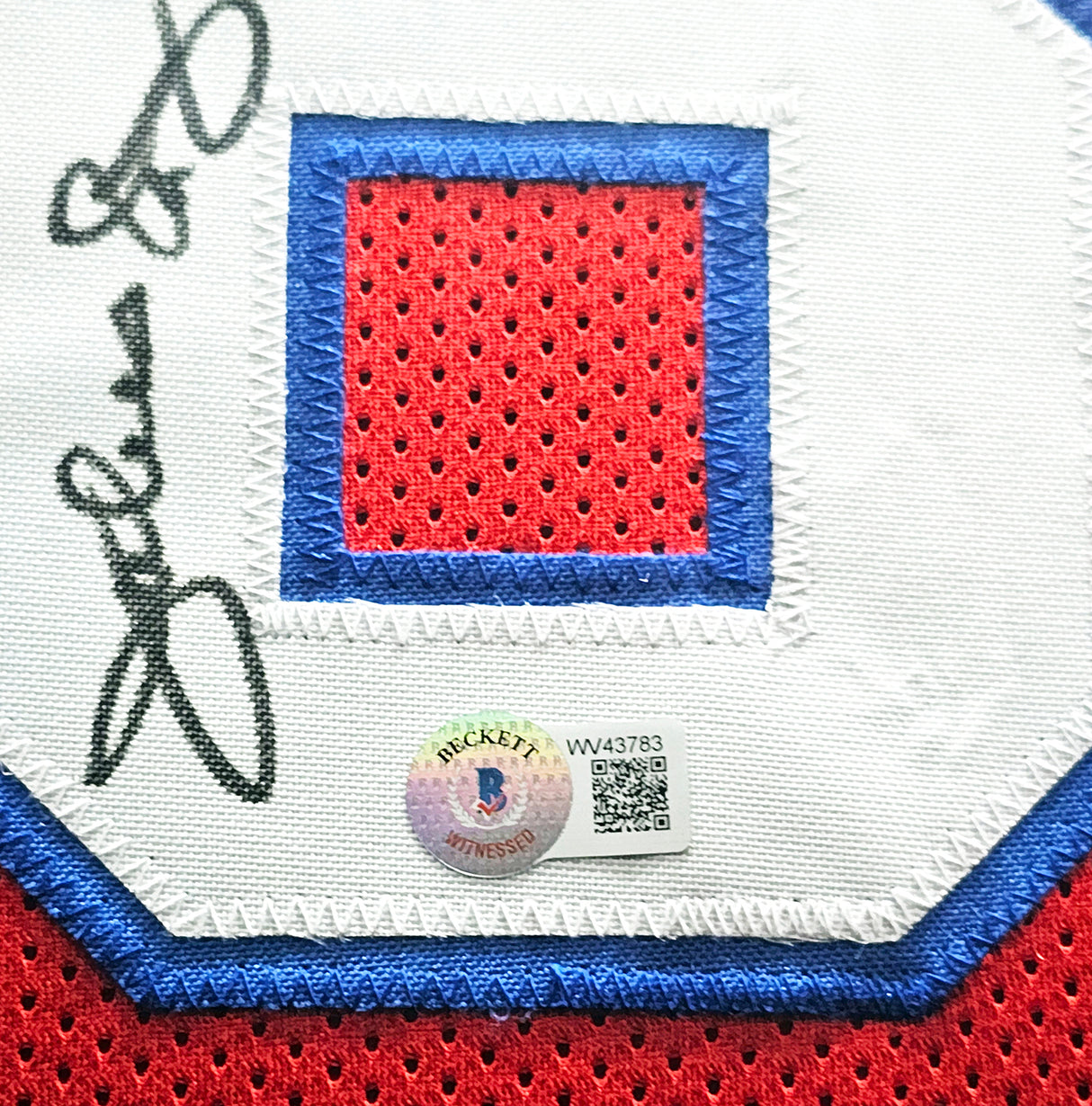 Philadelphia 76ers Julius "Dr. J" Erving Autographed Framed Red Jersey PSA/DNA Stock #215862
