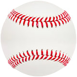 Martin Maldonado Autographed Official 2022 World Series Logo MLB Baseball Houston Astros "WS Champs 2022" Beckett BAS Witness #W381104