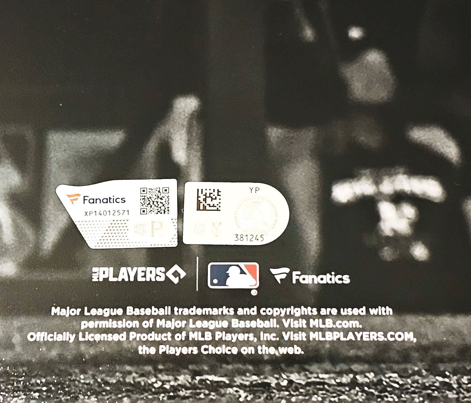 Cal Raleigh Autographed Framed 16x20 Photo Seattle Mariners Fanatics Holo Stock #253723