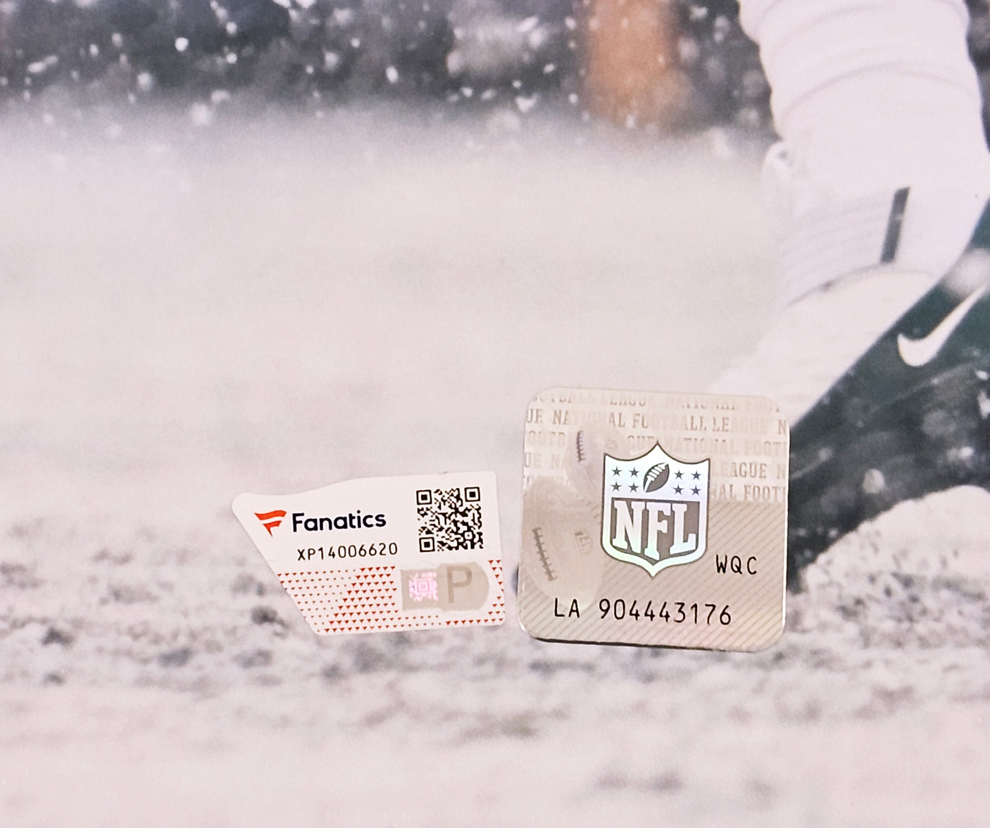 Aaron Rodgers Autographed 16x20 Photo Green Bay Packers Snow Game Fanatics Holo Stock #218712