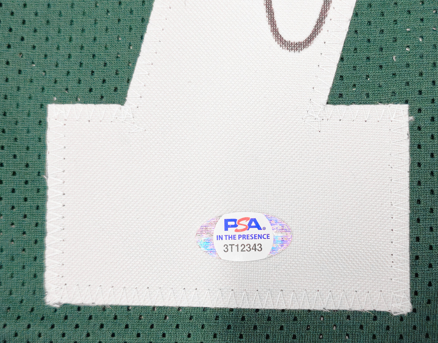 Green Bay Packers Robert Brooks Autographed Green Jersey PSA/DNA Stock #234516
