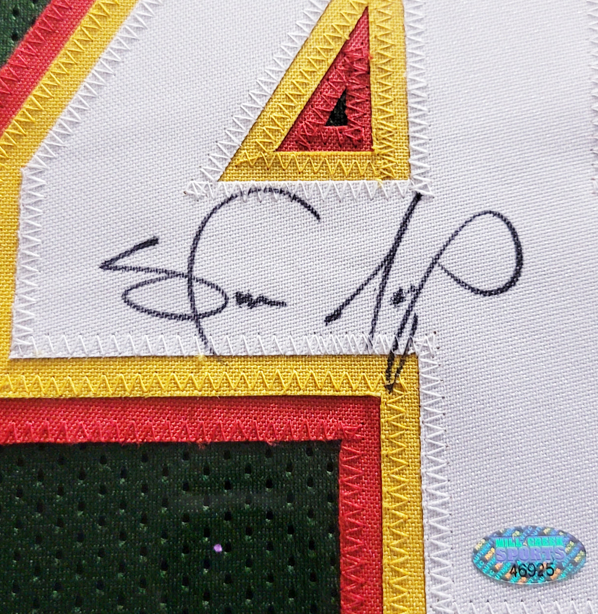 Seattle Supersonics Shawn Kemp Autographed Framed Green & Red Jersey MCS Holo Stock #206944