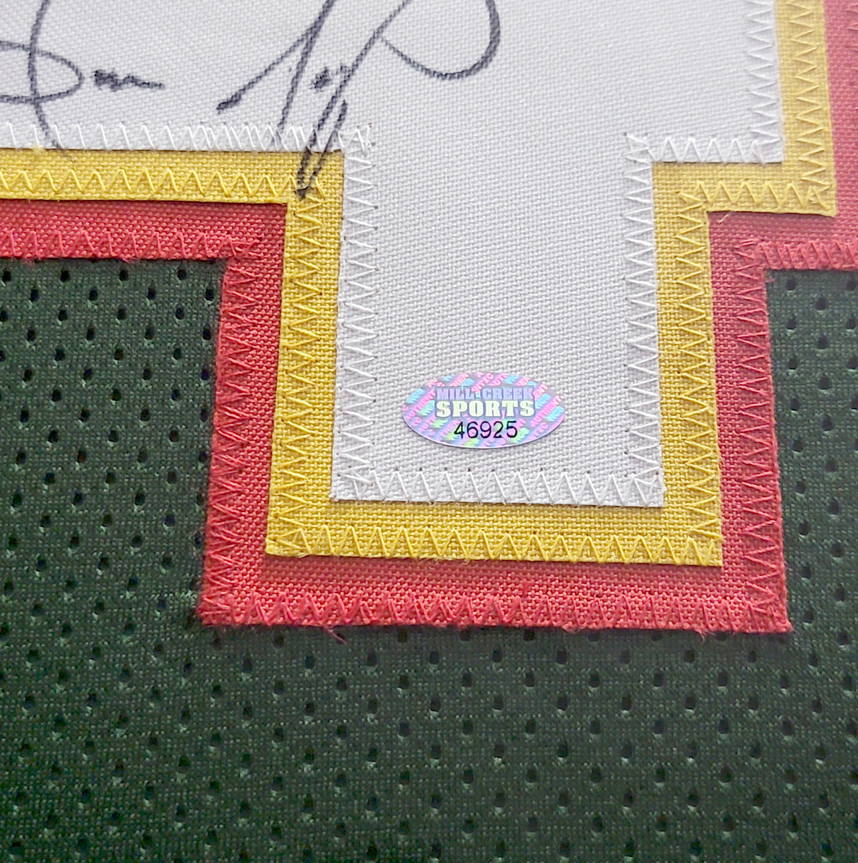 Seattle Supersonics Shawn Kemp Autographed Framed Green & Red Jersey MCS Holo Stock #206944