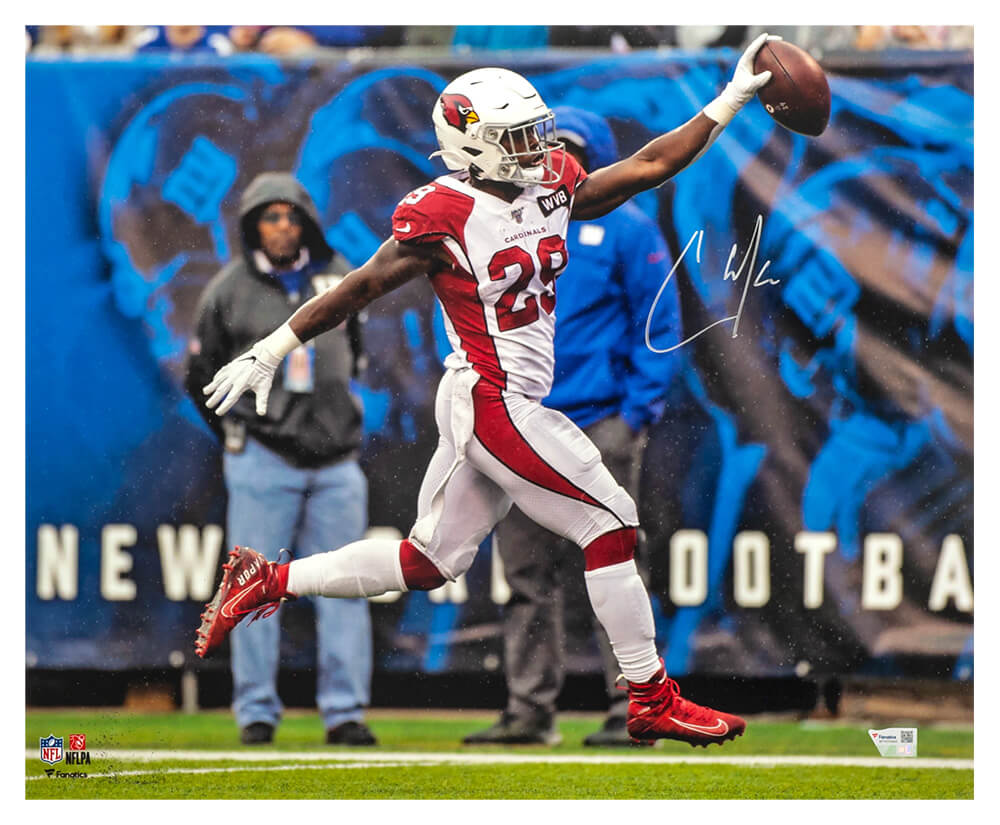 Chase Edmonds Signed Arizona Cardinals Celebrating vs Giants 16x20 Photo - (Fanatics)