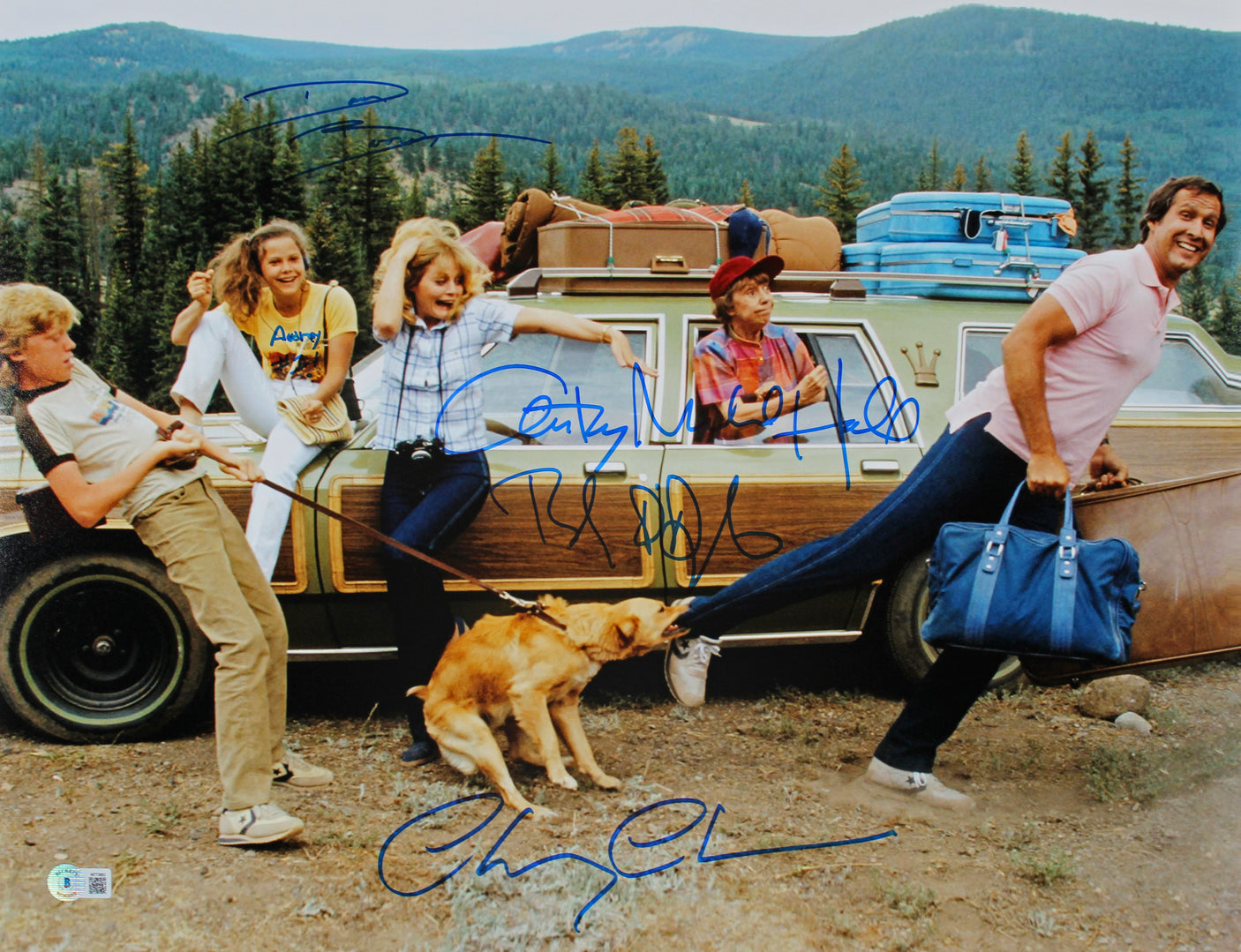 Vacation (4) Chase, D'Angelo, Hall & Barron Signed 16x20 Photo BAS Witnessed 5
