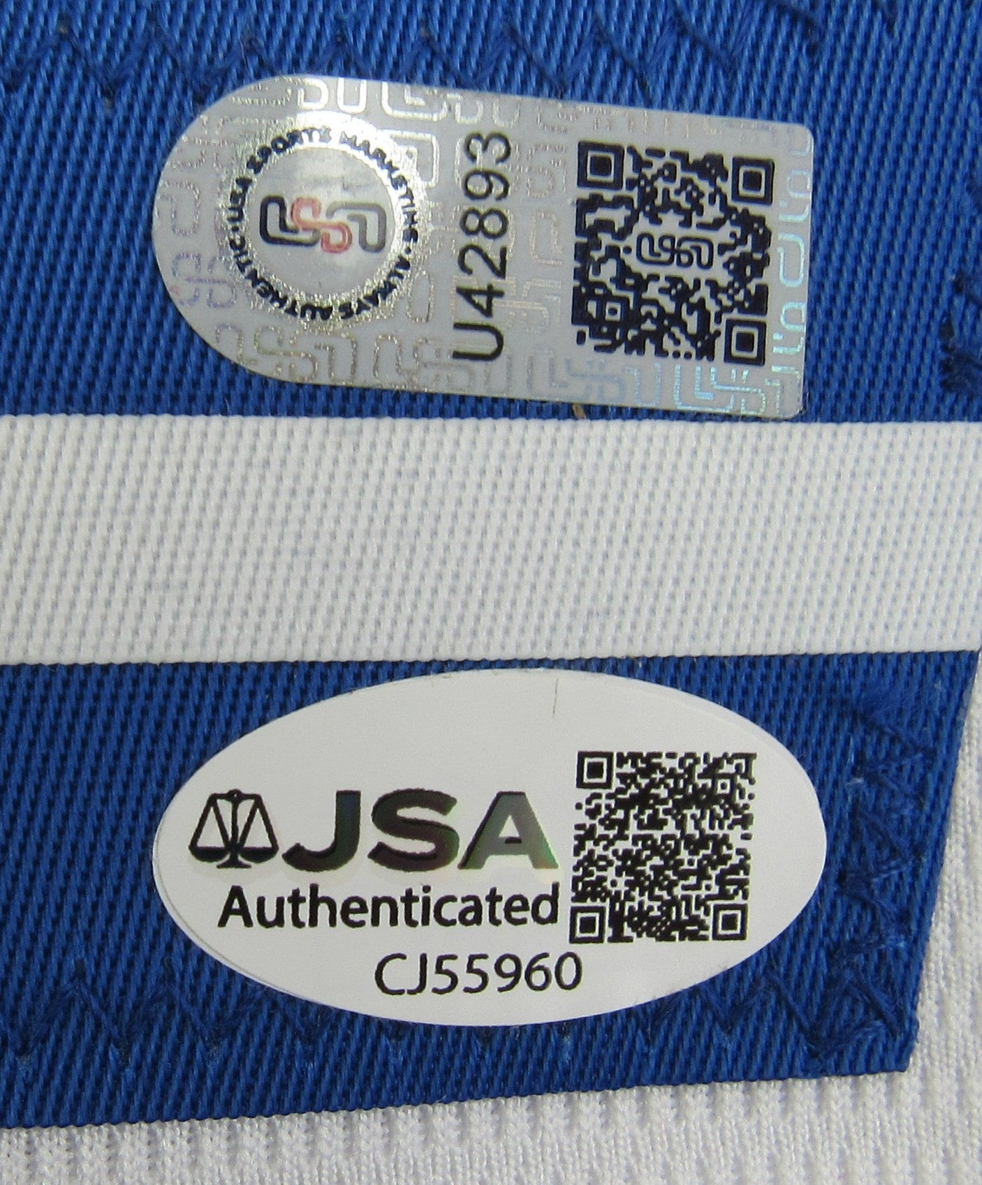 Vladimir Guerrero Signed Licensed Majestic Auto Blue Jays Jersey JSA CJ55960