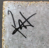 Foo Fighters (6) Grohl, Hawkins, Smear +3 Signed Album Cover W/ Vinyl BAS LOA