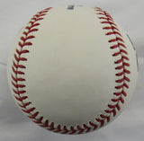 Luis Severino Signed Auto Rawlings Baseball Steiner COA MLB Hologram