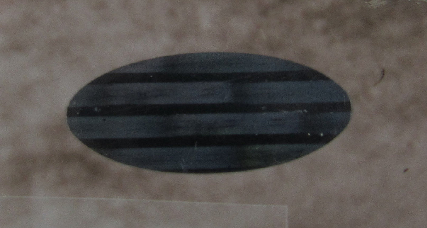 Bobby Thomson Ralph Branca Multi Signed Framed 8x10 Photo Steiner COA