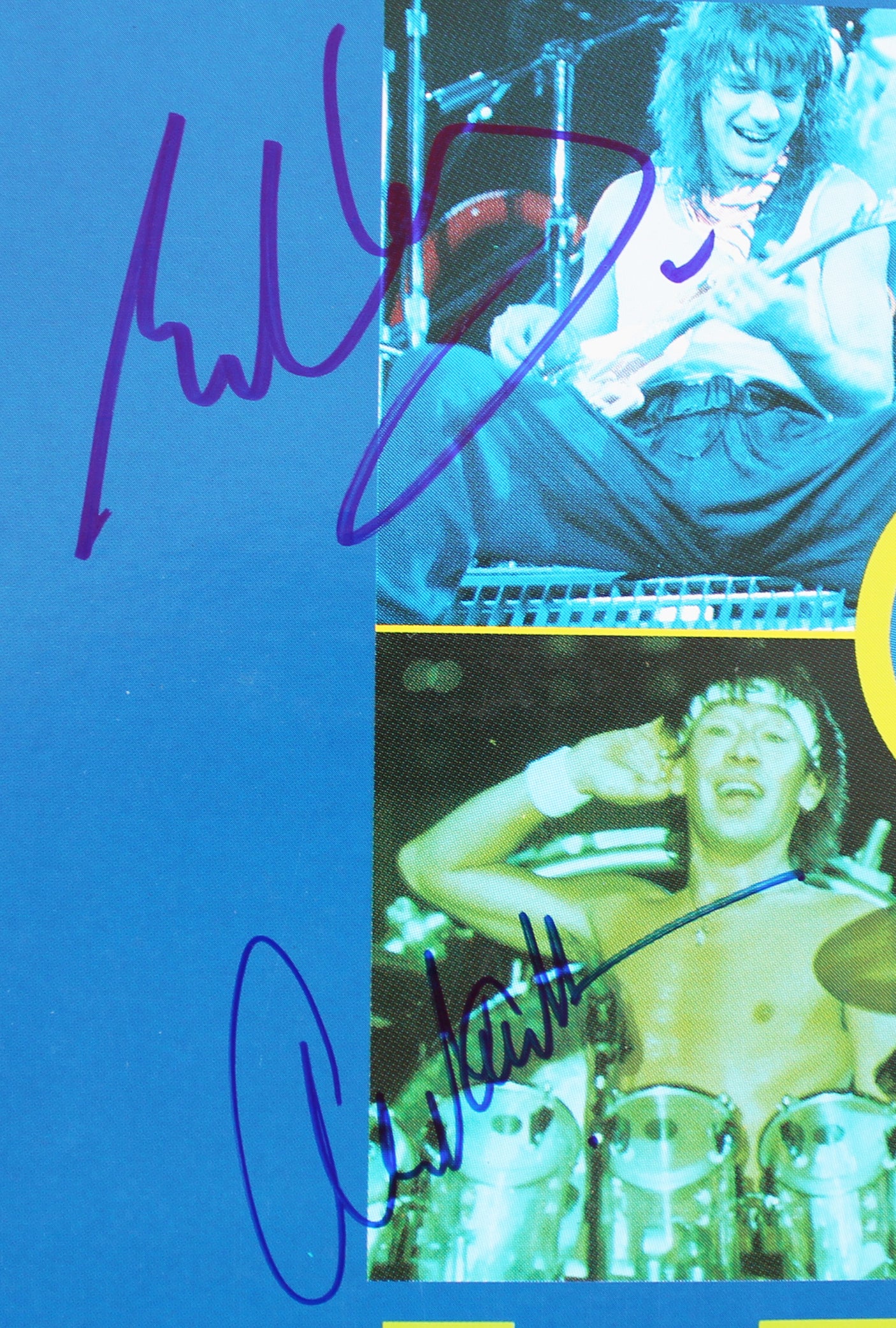 Van Halen (5) Authentic Signed Live Without A Net Laserdisc Cover W/Disk BAS