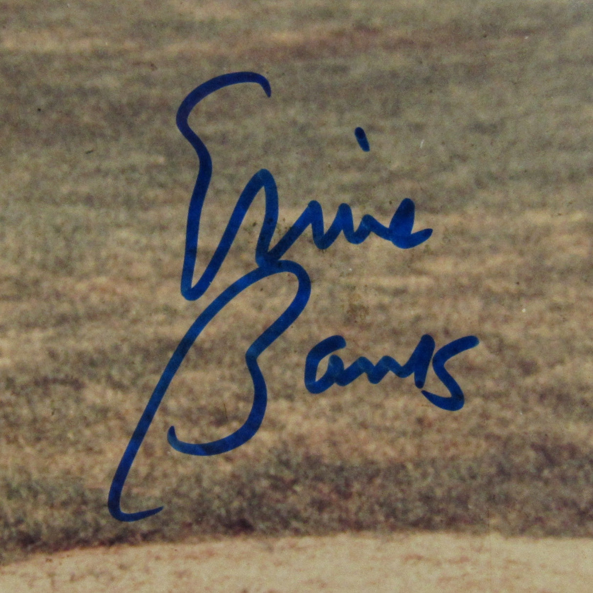 Ernie Banks Signed Auto 8x10 Photo JSA CM07366