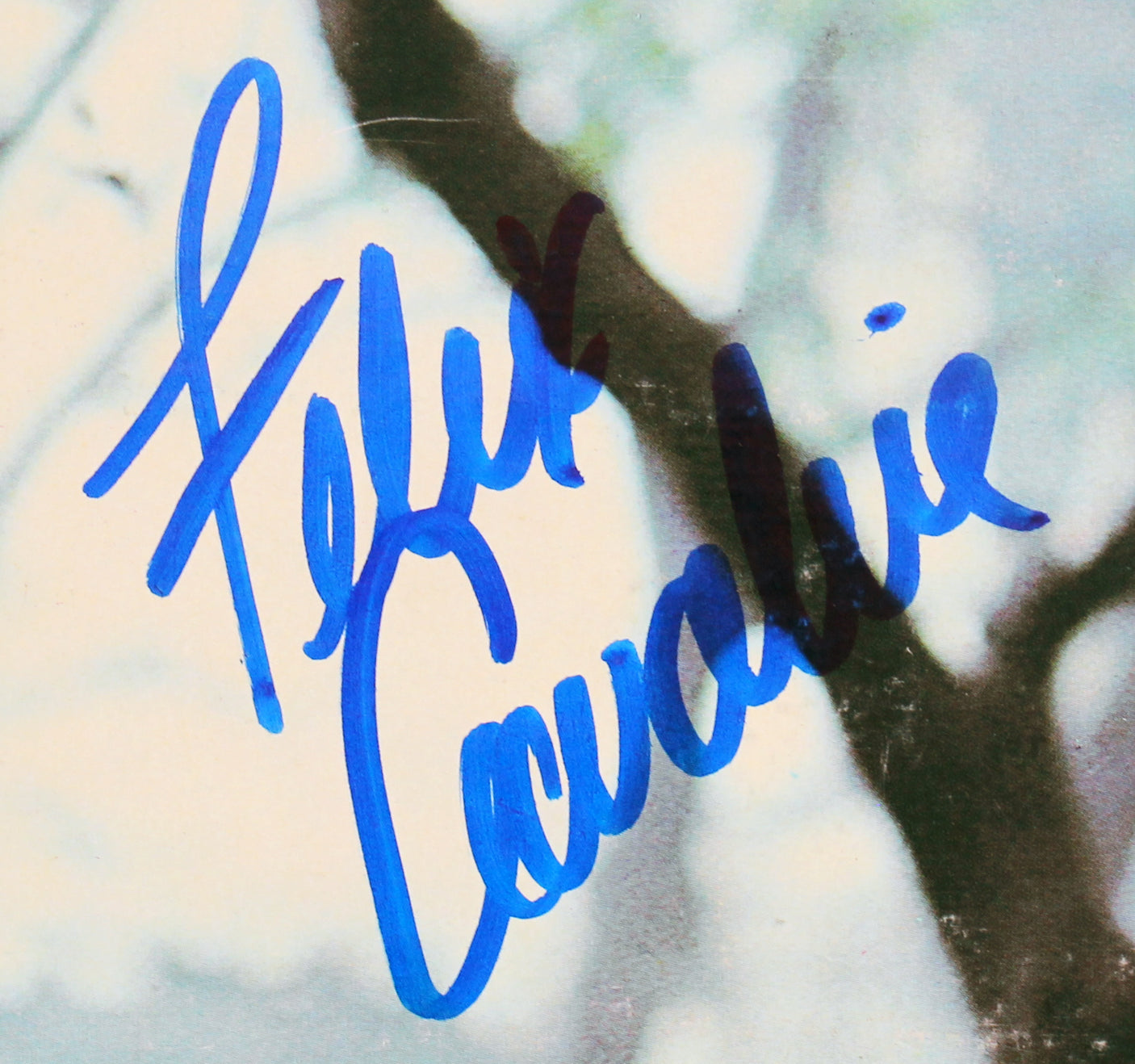 Felix Cavaliere Signed Destiny Promotional Copy Album Cover W/ Vinyl BAS #Z00968