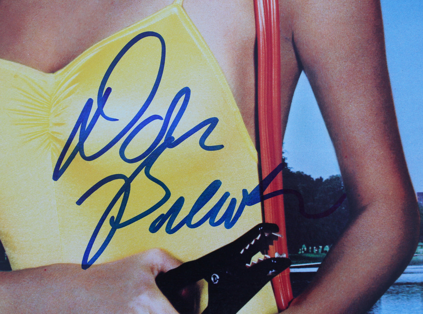 Don Brewer Grand Funk Authentic Signed What's Funk? Album Cover BAS #BG82241