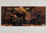 Mark Hamill Star Wars Return of the Jedi Signed 11x15.25 Photo BAS #AB14022