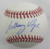 Anthony Volpe Signed Auto Rawlings Baseball JSA CF42576