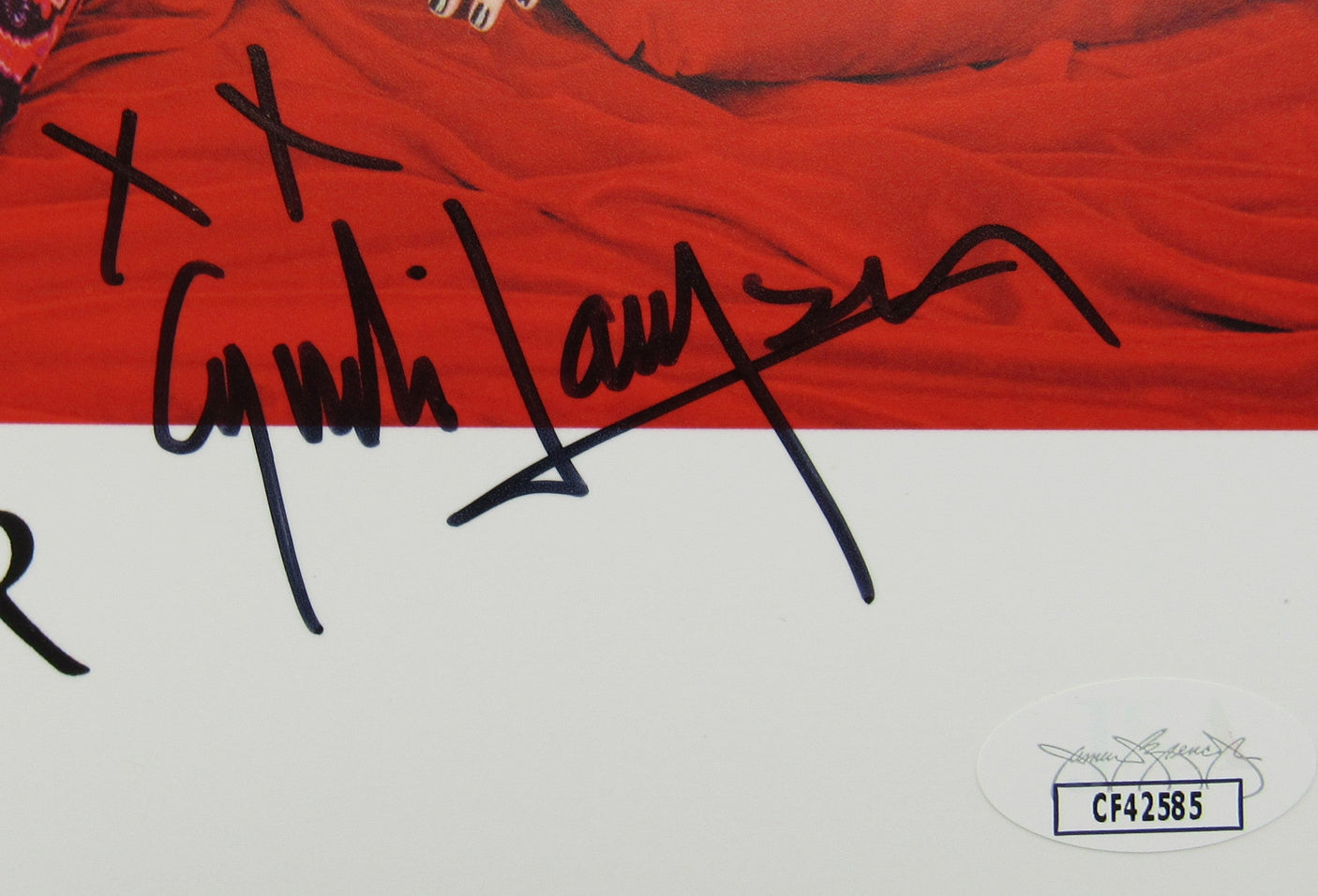 Cyndi Lauper Signed Auto 8x10 Photo JSA CF42585