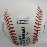 Anthony Volpe Signed Auto Rawlings Baseball JSA CF42570