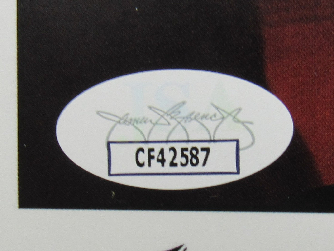 Cyndi Lauper Signed Auto 8x10 Photo JSA CF42587
