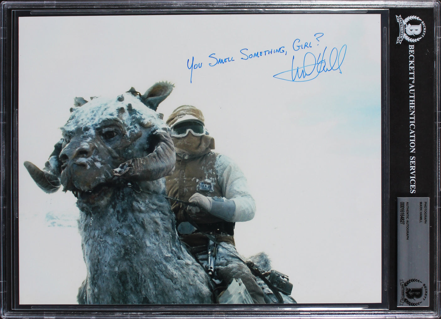 Mark Hamill Star Wars The Empire Strikes Back Signed 8x10 Photo BAS Slabbed
