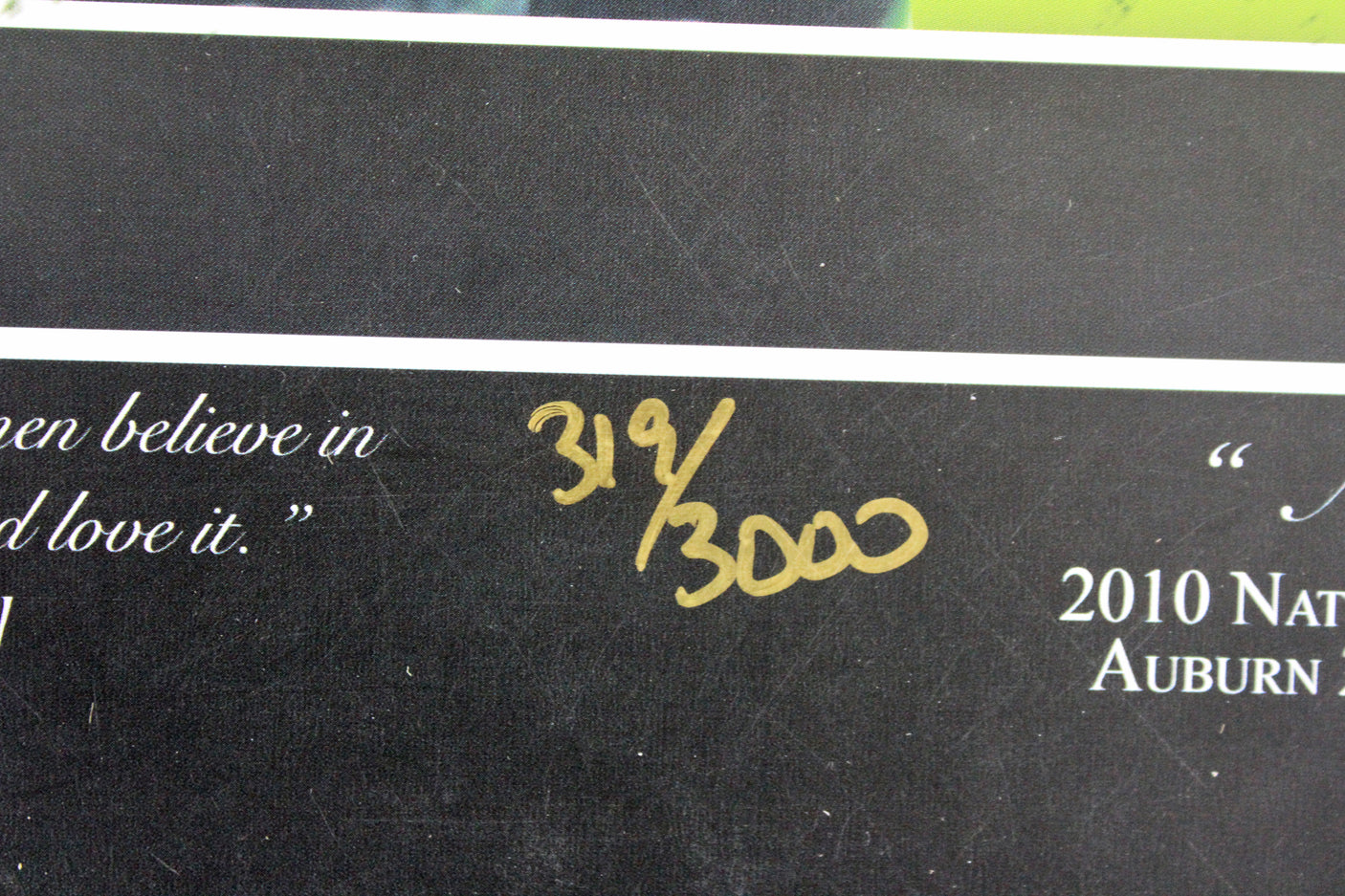 Auburn (4) Newton, Fairley Signed 24x27 Litho LE #619/3000 Fanatics #FA005355