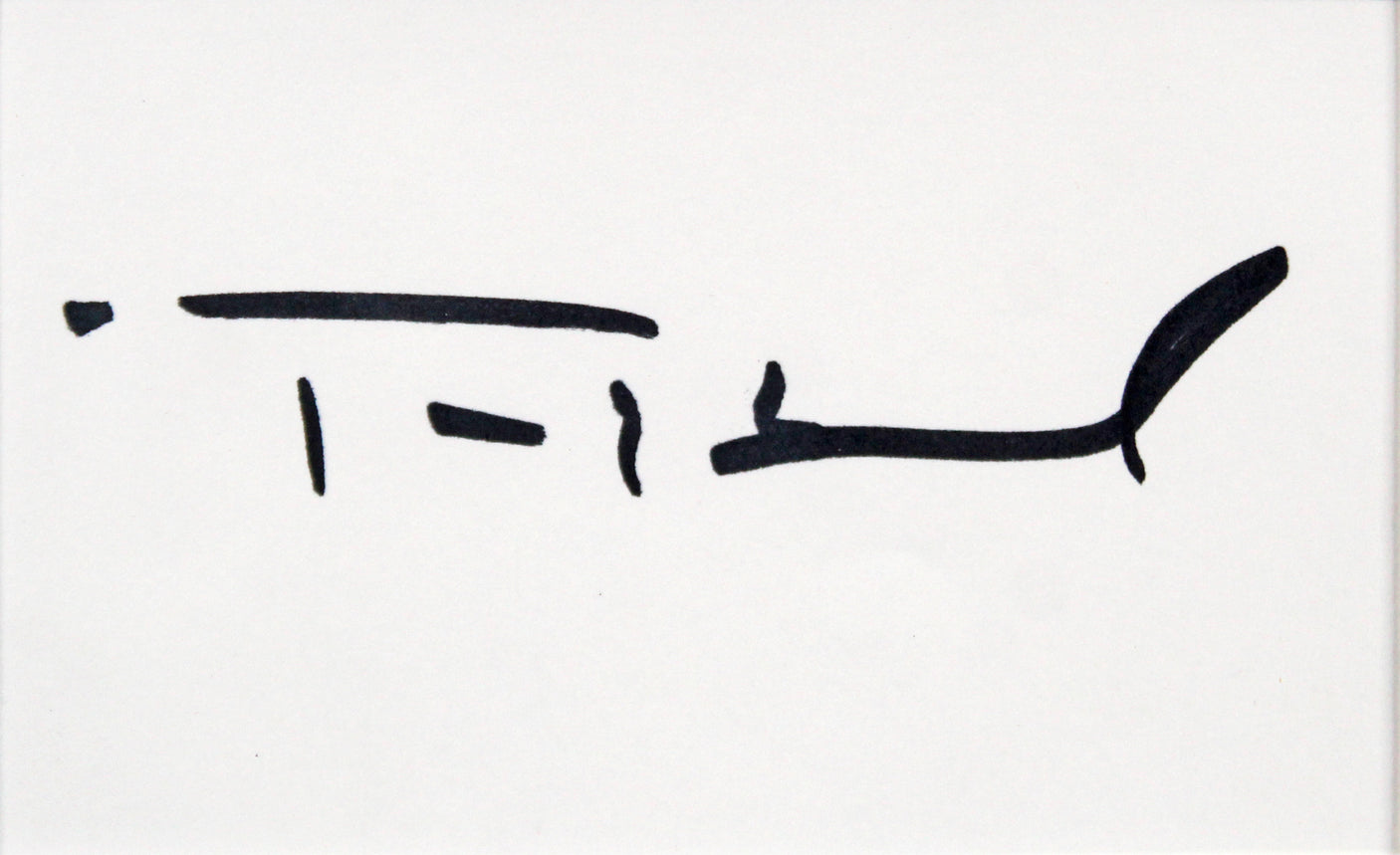 Daryl Hannah & Tom Hanks Splash Signed Index Card Framed Display BAS #AC26577