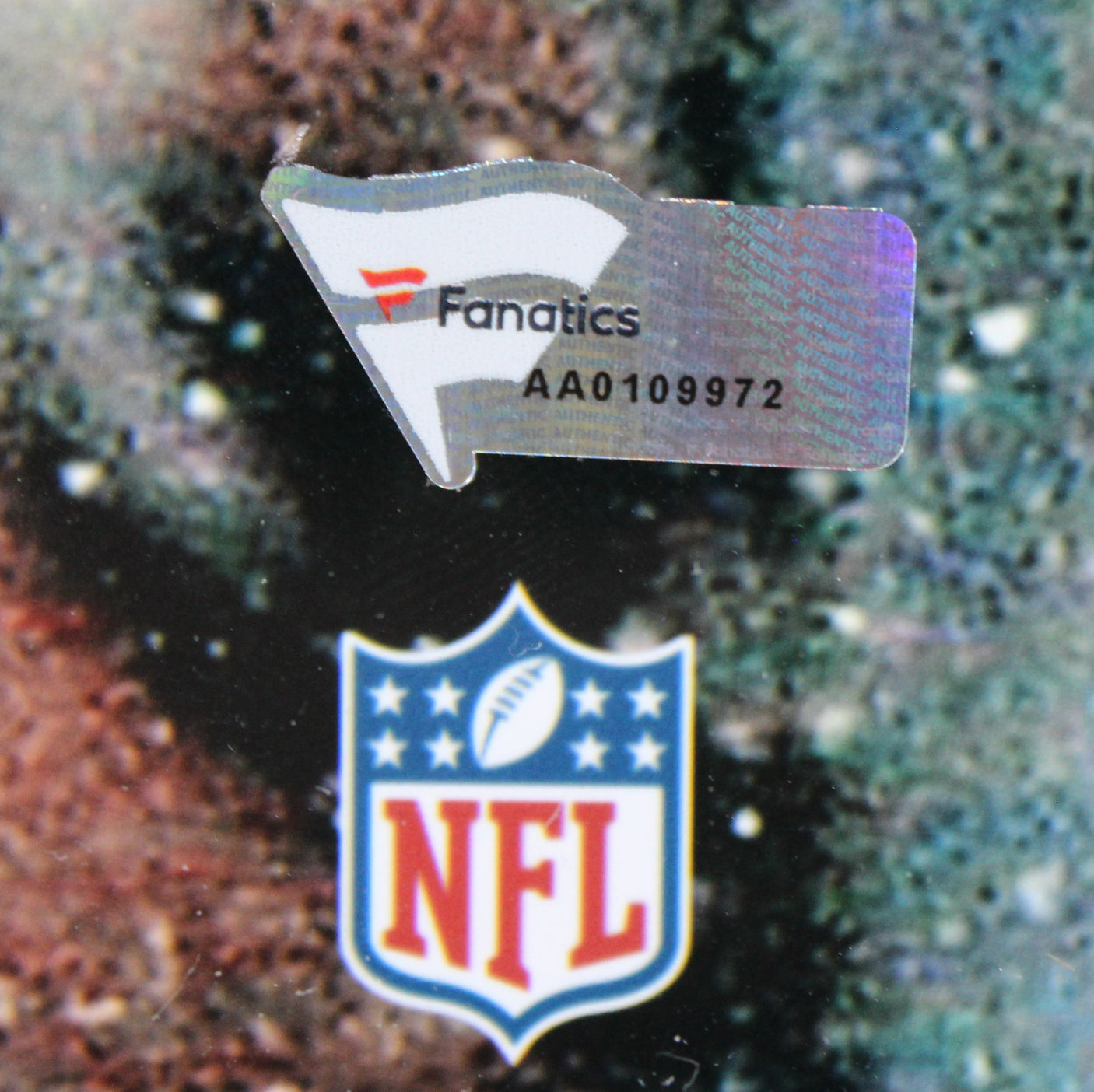 Tom Brady & Charles Woodson Signed 16x20 Framed Photo Fanatics #AA0109972