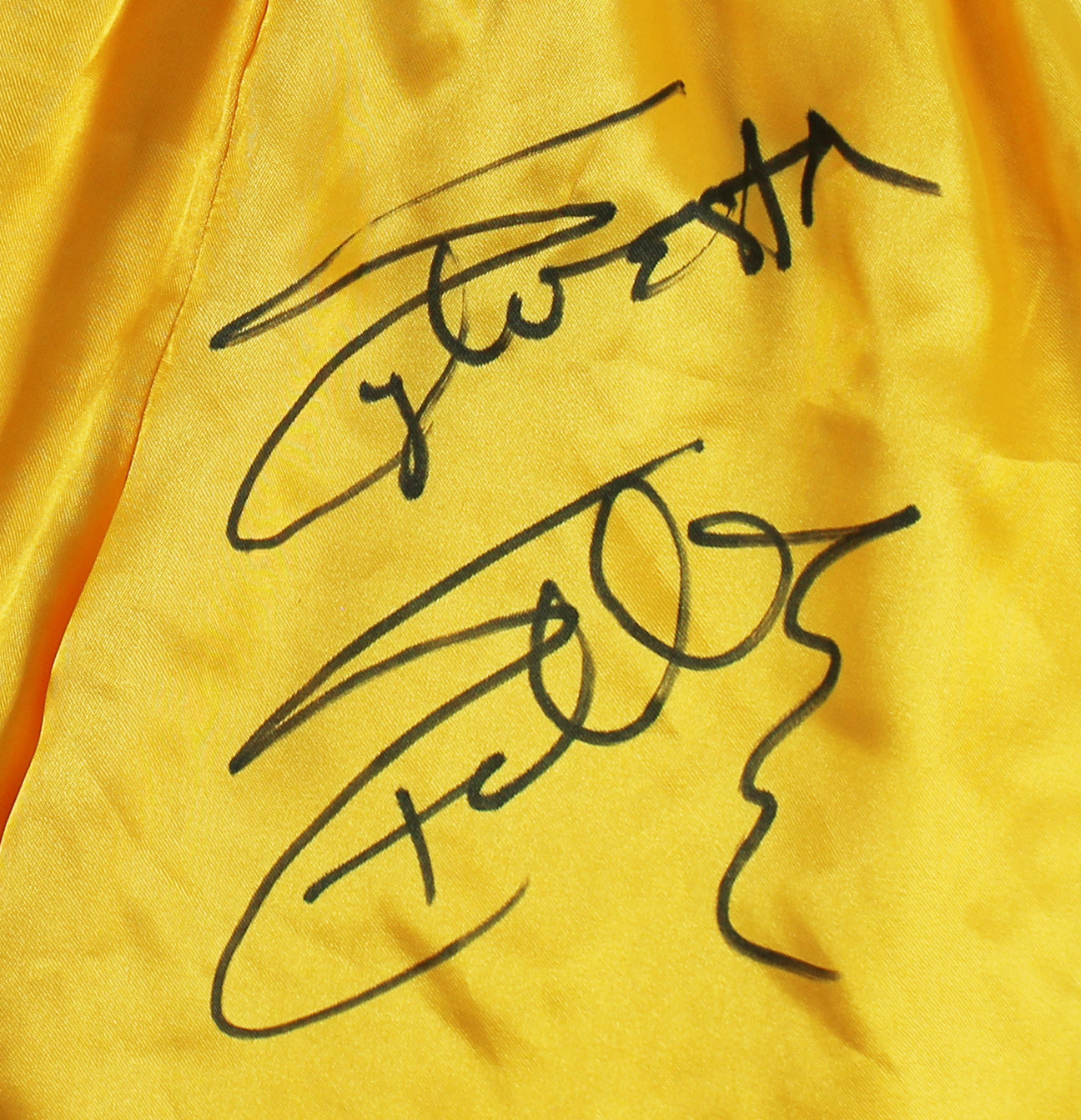 Sylvester Stallone & Talia Shire Signed Yellow Rocky Boxing Trunks BAS #AB14661