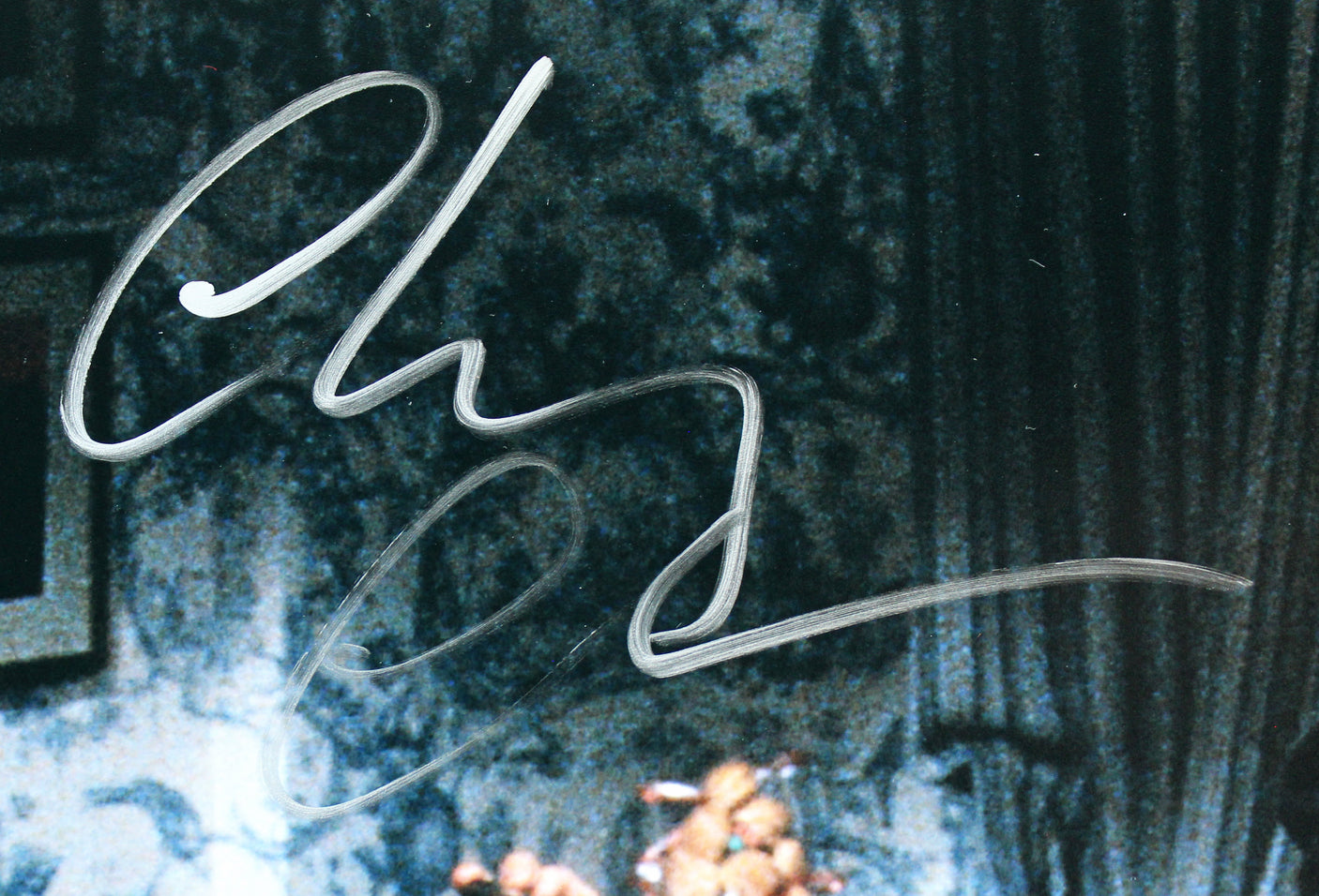 Chevy Chase Christmas Vacation Authentic Signed 16x20 Photo BAS Wit #WM90410