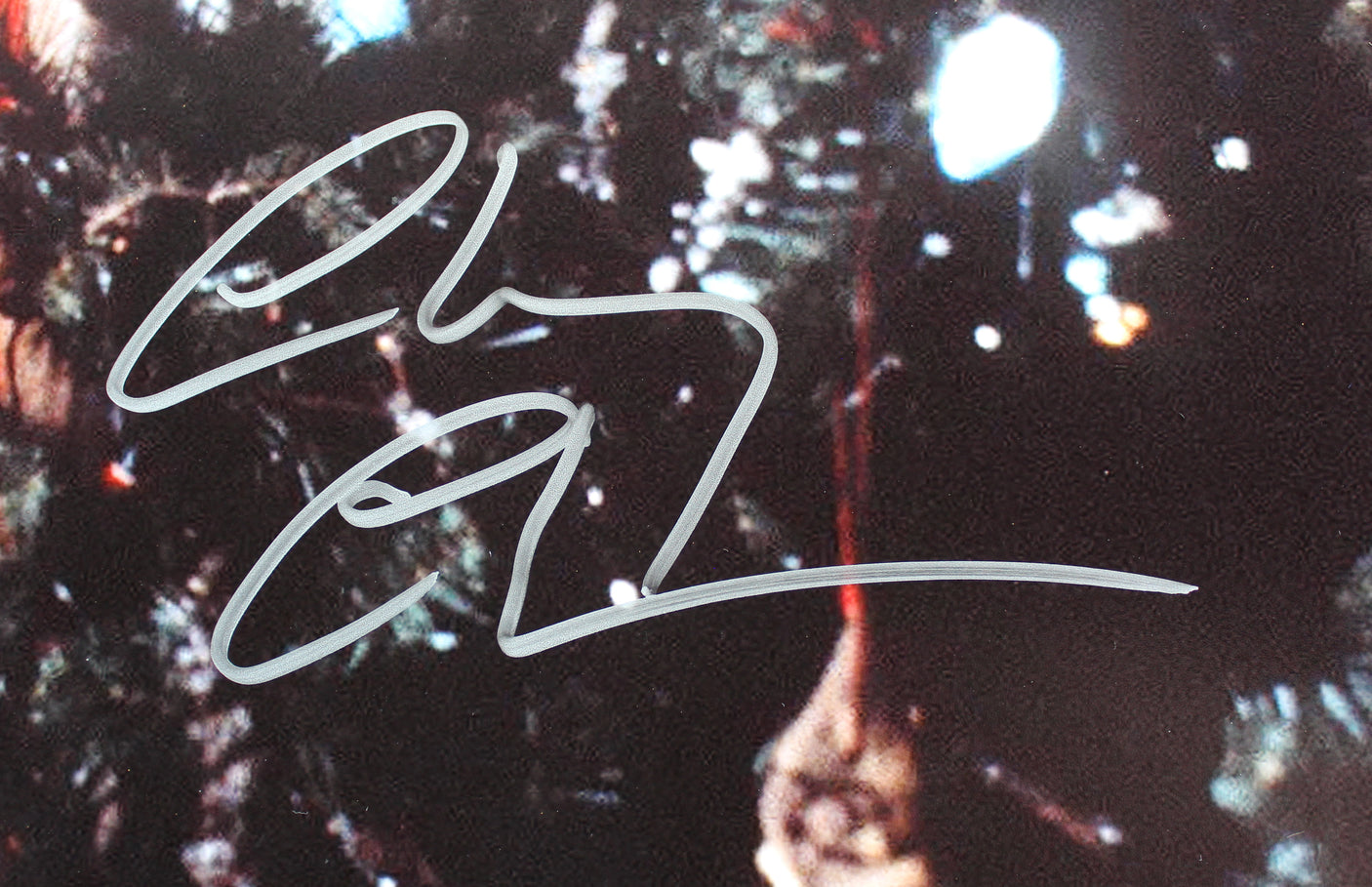 Chevy Chase Christmas Vacation Signed 16x20 Horizontal Tree Photo w/ Silver BAS