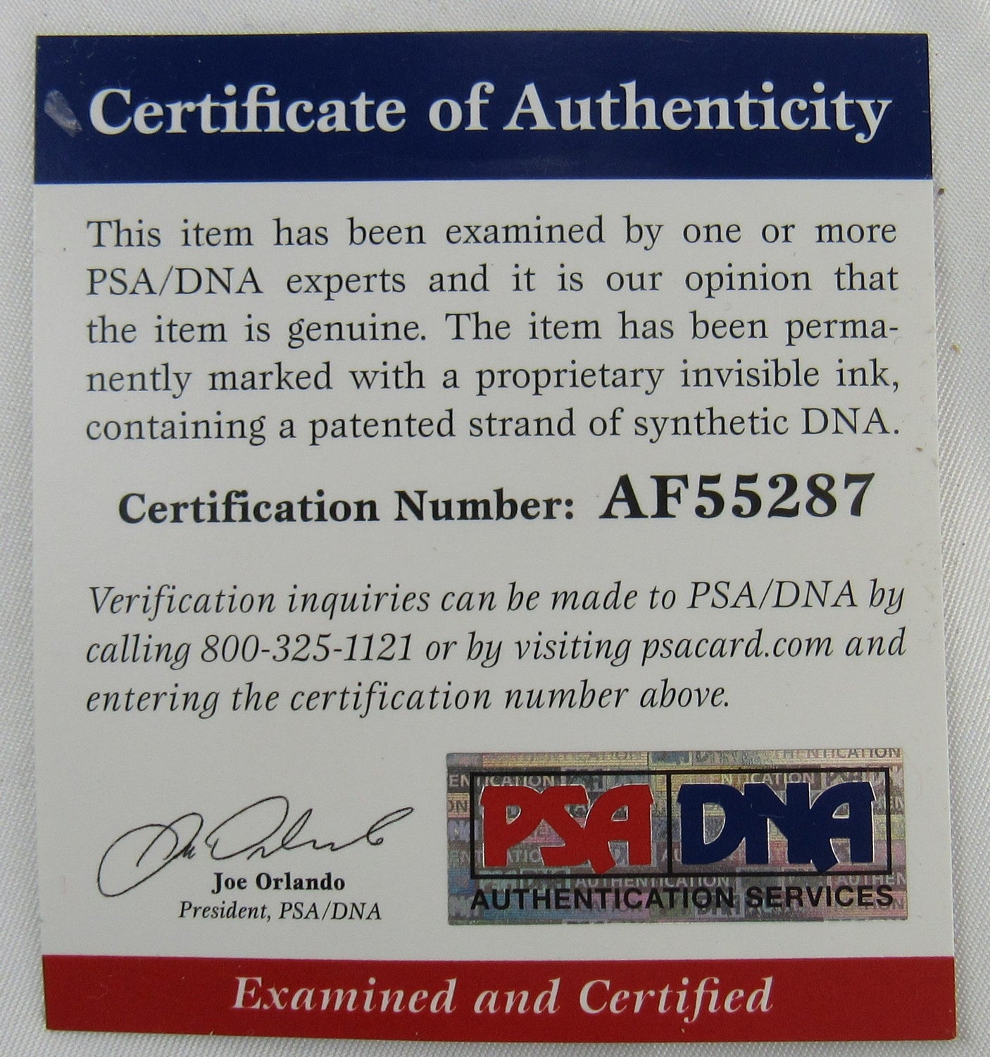 Dennis Rodman Signed Auto Autograph Replica Jersey PSA/DNA COA