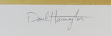 Hornets Larry Johnson "ROY" Authentic Signed 24x30 Lithograph BAS #BJ06319